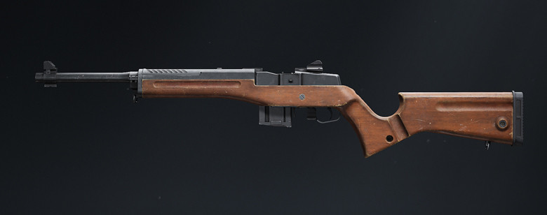 Mini 14 Ranking in ABI.