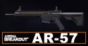 AR-57 Build in Arena Breakout | Budget & Best
