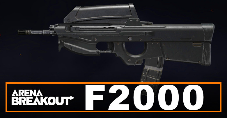 F2000 Build in Arena Breakout | Budget & Best