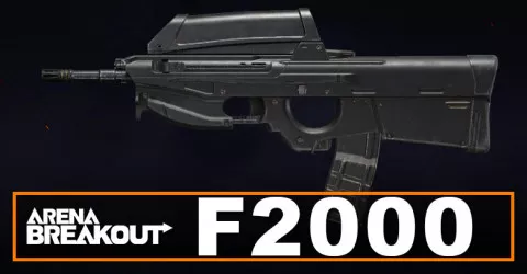 F2000 Build in Arena Breakout | Budget & Best