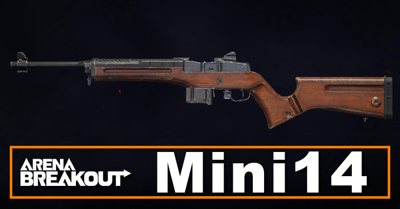 Mini14 Build in Arena Breakout | Budget & Best | Loadout Guide