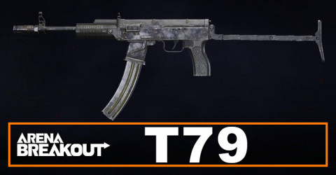 T79 Build in Arena Breakout | Budget & Best | Loadout Guide