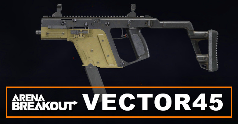 Vector 45 Build in Arena Breakout | Budget & Best | Loadout Guide