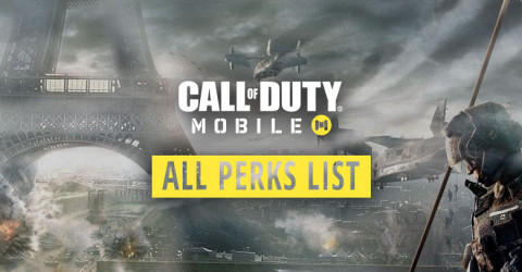 Multiplayer Perks List