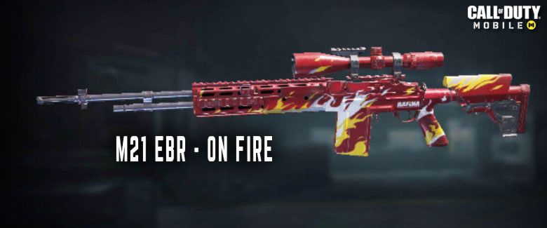 M21 EBR On Fire Skin.