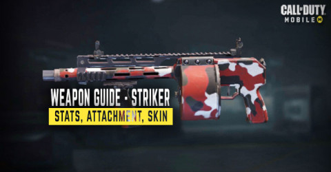 Striker Weapon Stats, Attachment, & Skin