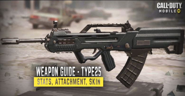 Type 25 Stats, Attachment, & Skin