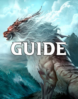 Guide