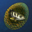 Chimeraland Rare Egg: Archerfish - zilliongamer
