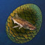 Chimeraland Rare Egg: Black Kingfish - zilliongamer