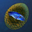 Chimeraland Rare Egg: BlueJade Fish - zilliongamer
