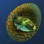 Chimeraland Rare Egg: Boxfish - zilliongamer