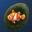 Chimeraland Rare Egg: Clownfish - zilliongamer