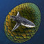 Chimeraland Rare Egg: Great White Shark - zilliongamer