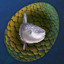 Chimeraland Rare Egg: Mola - zilliongamer
