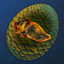 Chimeraland Rare Egg: Peacock Fish - zilliongamer