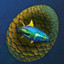 Chimeraland Rare Egg: Skewerfish - zilliongamer