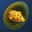 Chimeraland Rare Egg: Yellow Boxfish - zilliongamer