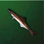 Chimeraland Fishing Materials: Black Kingfish - zilliongamer