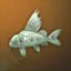 Chimeraland Fishing Materials: Muddled Catfish - zilliongamer