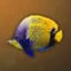 Chimeraland Fishing Materials: Phoenixfish - zilliongamer