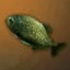 Chimeraland Fishing Materials: Red-bellied Piranha - zilliongamer