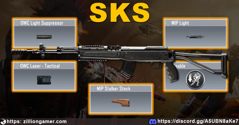 Best Marksman in COD Mobile Season 2: SKS