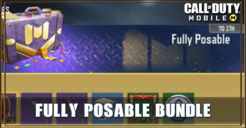 Fully Posable Bundle Fully Posable Bundle