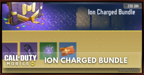 Ion Charged Bundle Ion Charged Bundle