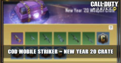 New Year '20 Weapon Crate Items & Odds
