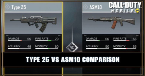 Type 25 VS ASM10 Comparison