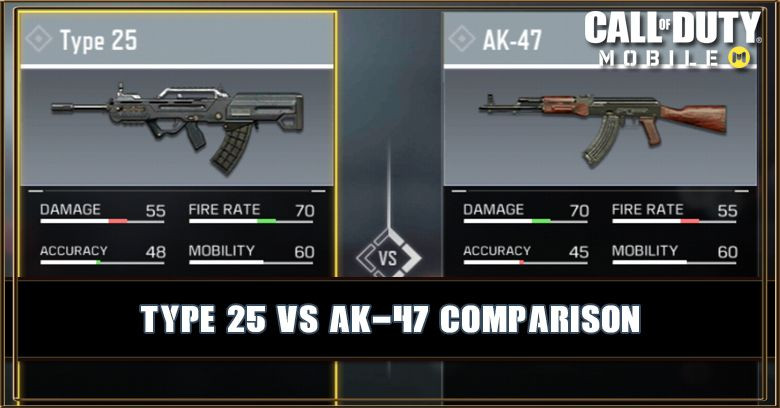 Type 25 VS AK-47 Comparison
