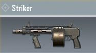 Call of Duty Mobile Guns: Striker - zilliongamer