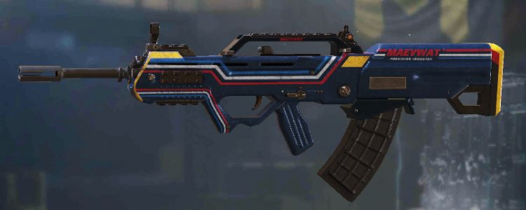 Type 25 skins Pinstripes in Call of Duty Mobile. - zilliongamer