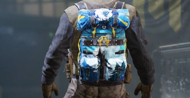 Backpack Skin Alaska in Call of Duty Mobile - zilliongamer
