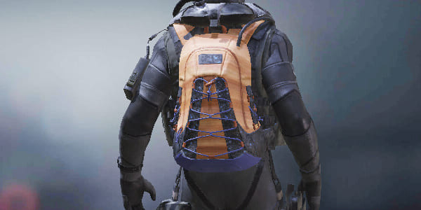 COD Mobile Backpack Winterwood skin - zilliongamer