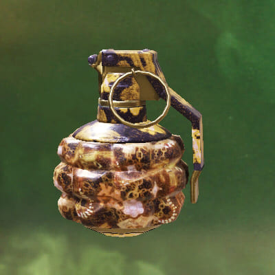 COD Mobile Frag Grenade: Clout - zilliongamer