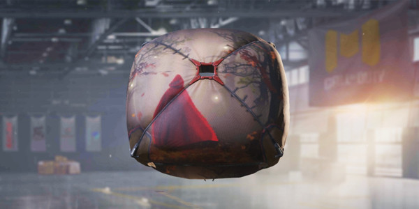 COD Mobile Parachute skin: To Grandma's House - zilliongamer