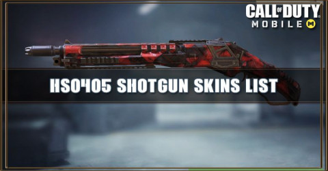 HS0405 Skins List