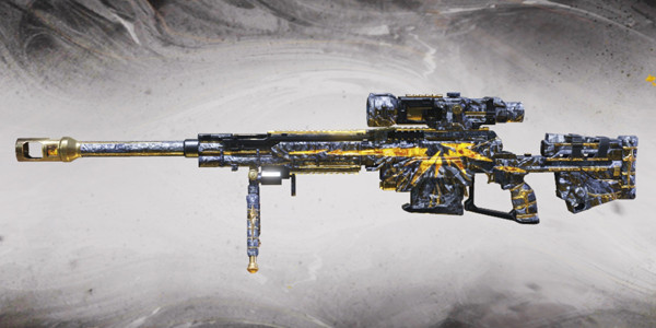 Whats the point of snipers only ,if you can't use your own custom sniper  ,also the only snipers we get is the dlq and artic , wouldn't snipers only  be great if