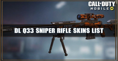 DL Q33 Skins List