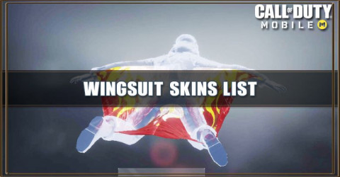 Wingsuit Skins List