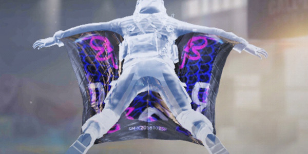 COD Mobile Wingsuit High Vis Hula - zilliongamer