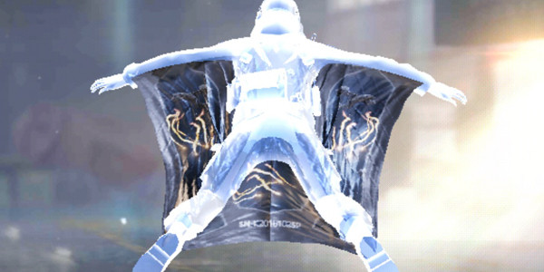 COD Mobile Wingsuit Illumination - zilliongamer