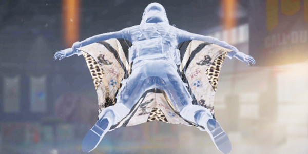 COD Mobile Wingsuit Tarnished Veil - zilliongamer