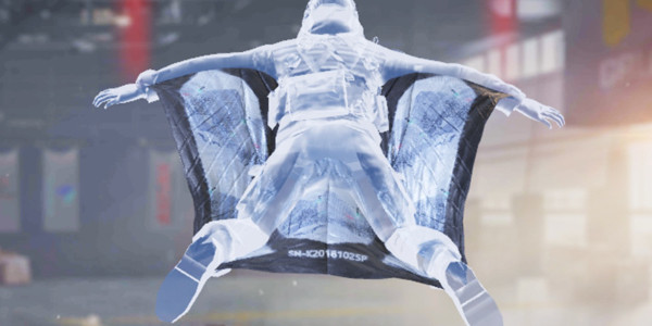 COD Mobile Wingsuit Whiteout - zilliongamer