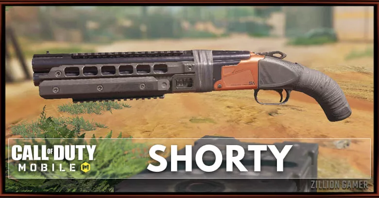 Shorty Stats, Attachment, & Skin