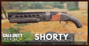 Shorty Stats, Attachment, & Skin