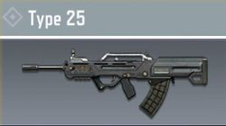 Type 25 vs AK117 Comparison in Call of Duty Mobile.