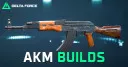 The Best AKM Build for Delta Force